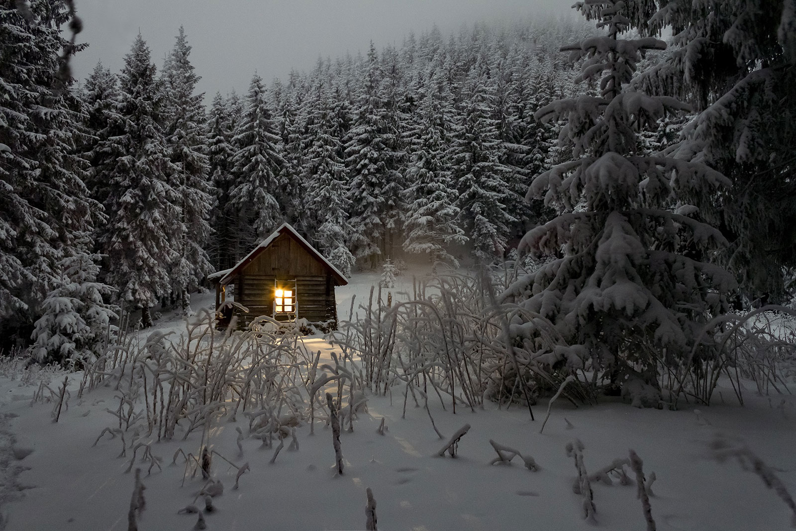 snowaddon