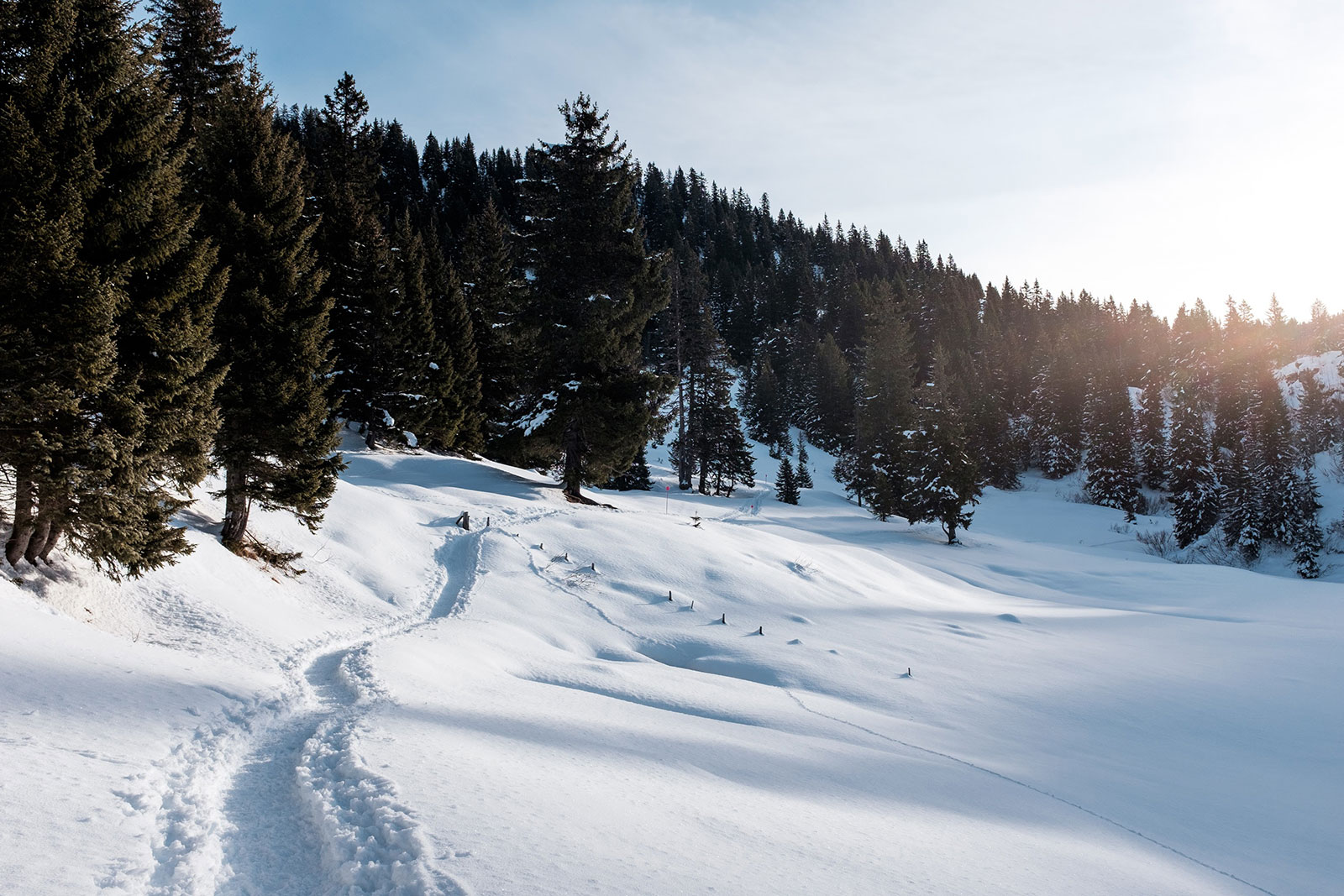snowaddon